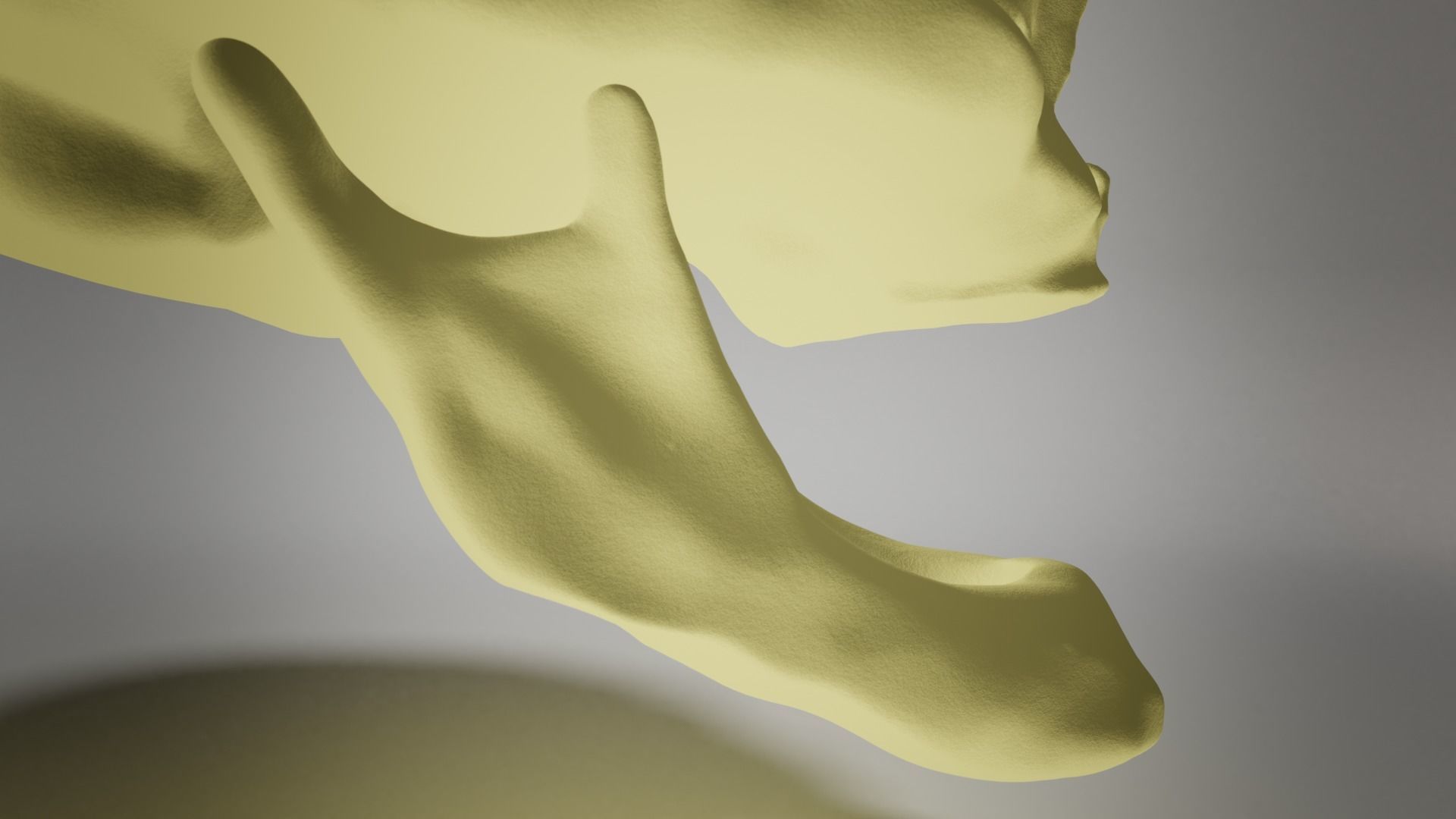 Edentulous skull 3D model_2