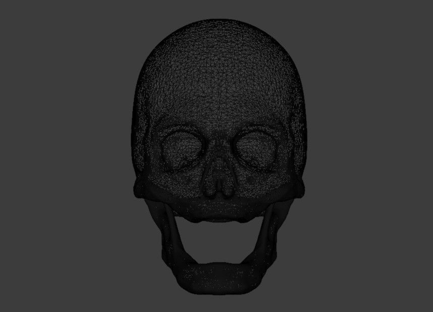 Edentulous skull 3D model_4