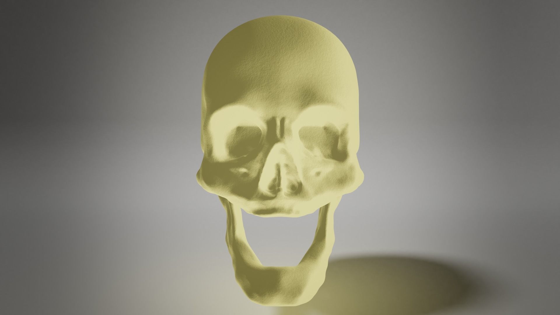 Edentulous skull 3D model_3