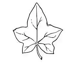 Leaf Cookie Cutter Set