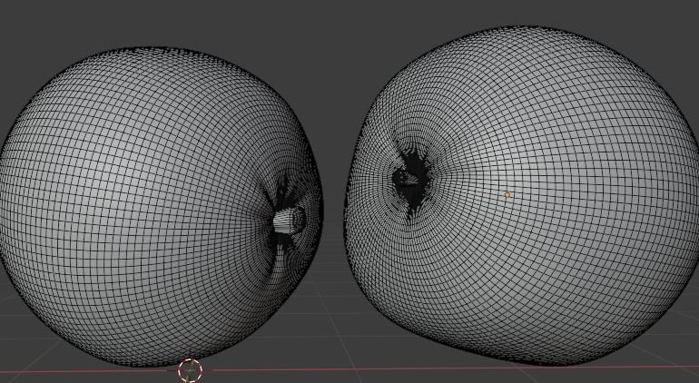 Orange 3d model two oranges 3D model_11