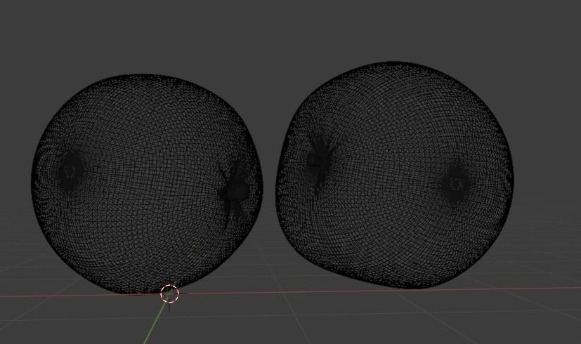 Orange 3d model two oranges 3D model_6