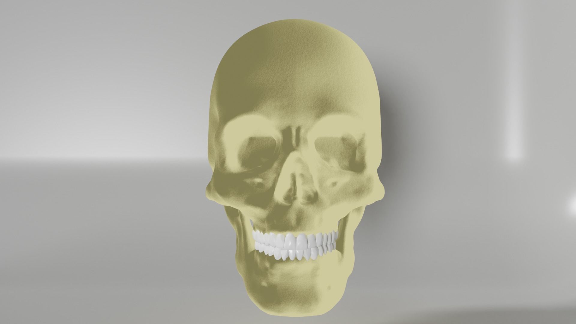 Human Skull 3D model_4