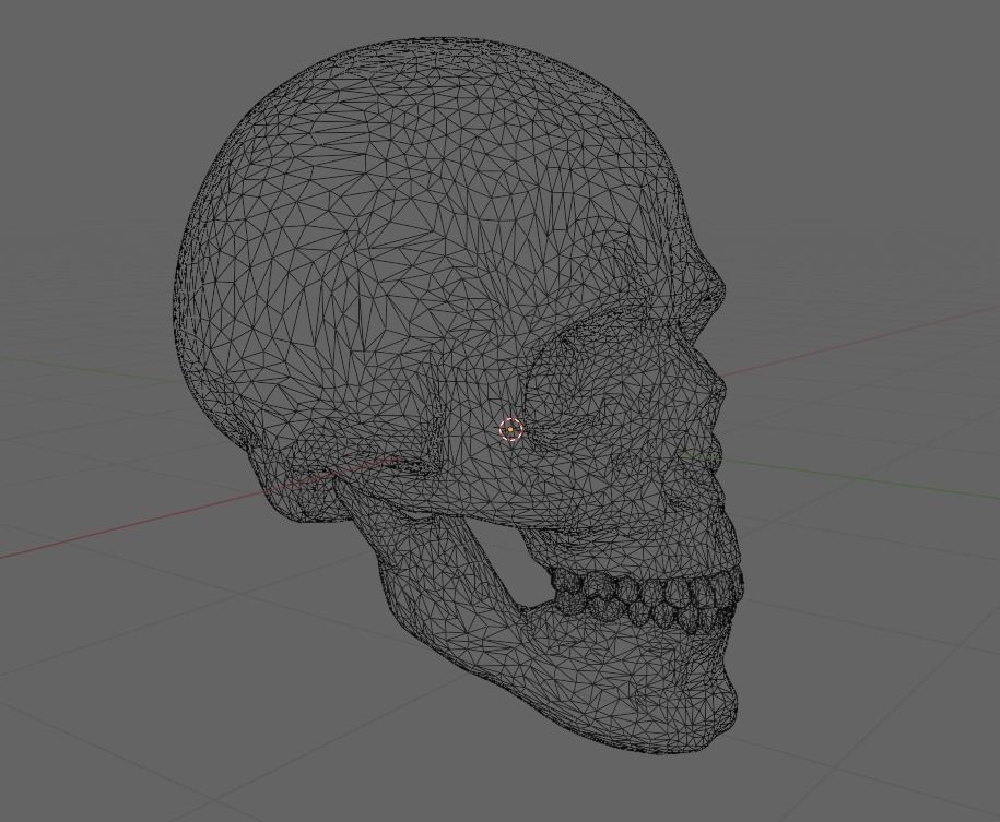 Human Skull 3D model_7