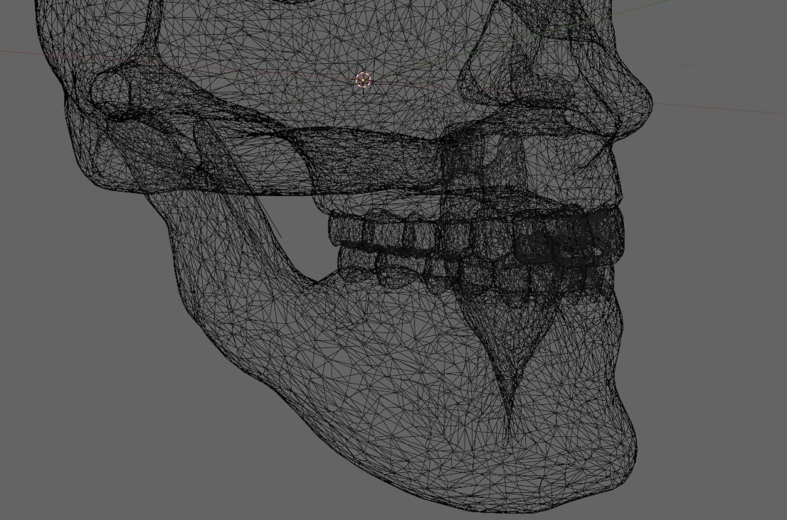 Human Skull 3D model_6