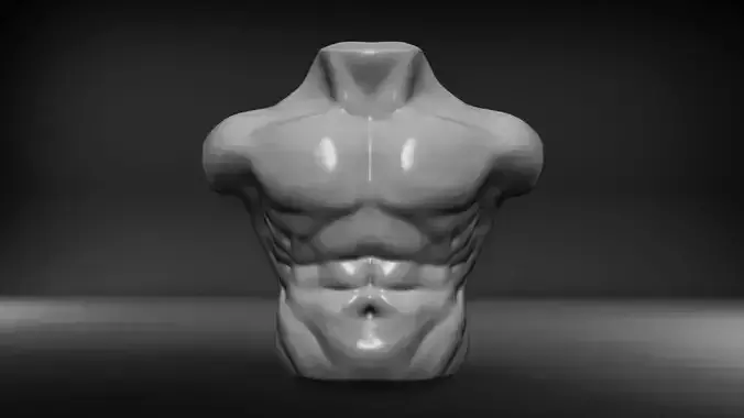 Human Male Torso  Low-poly 3D model