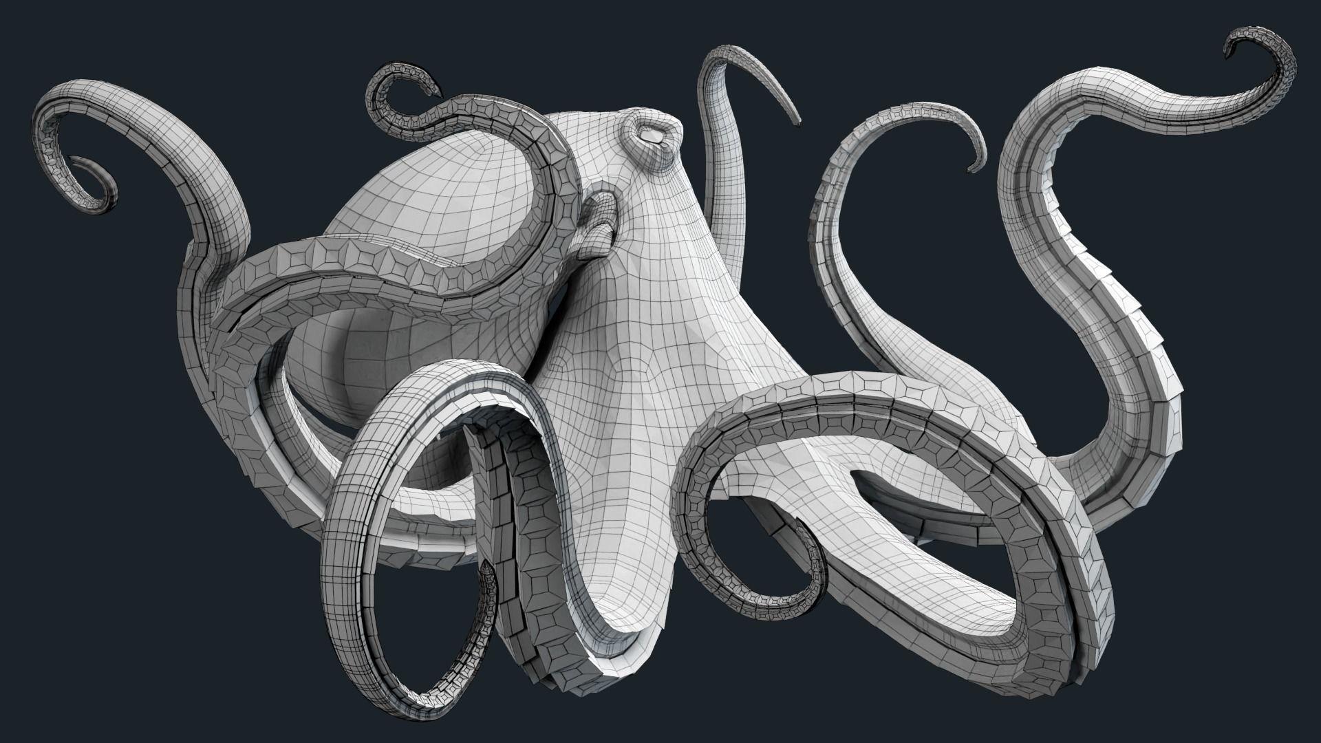 Octopus Base Mesh Low-poly 3D model_9