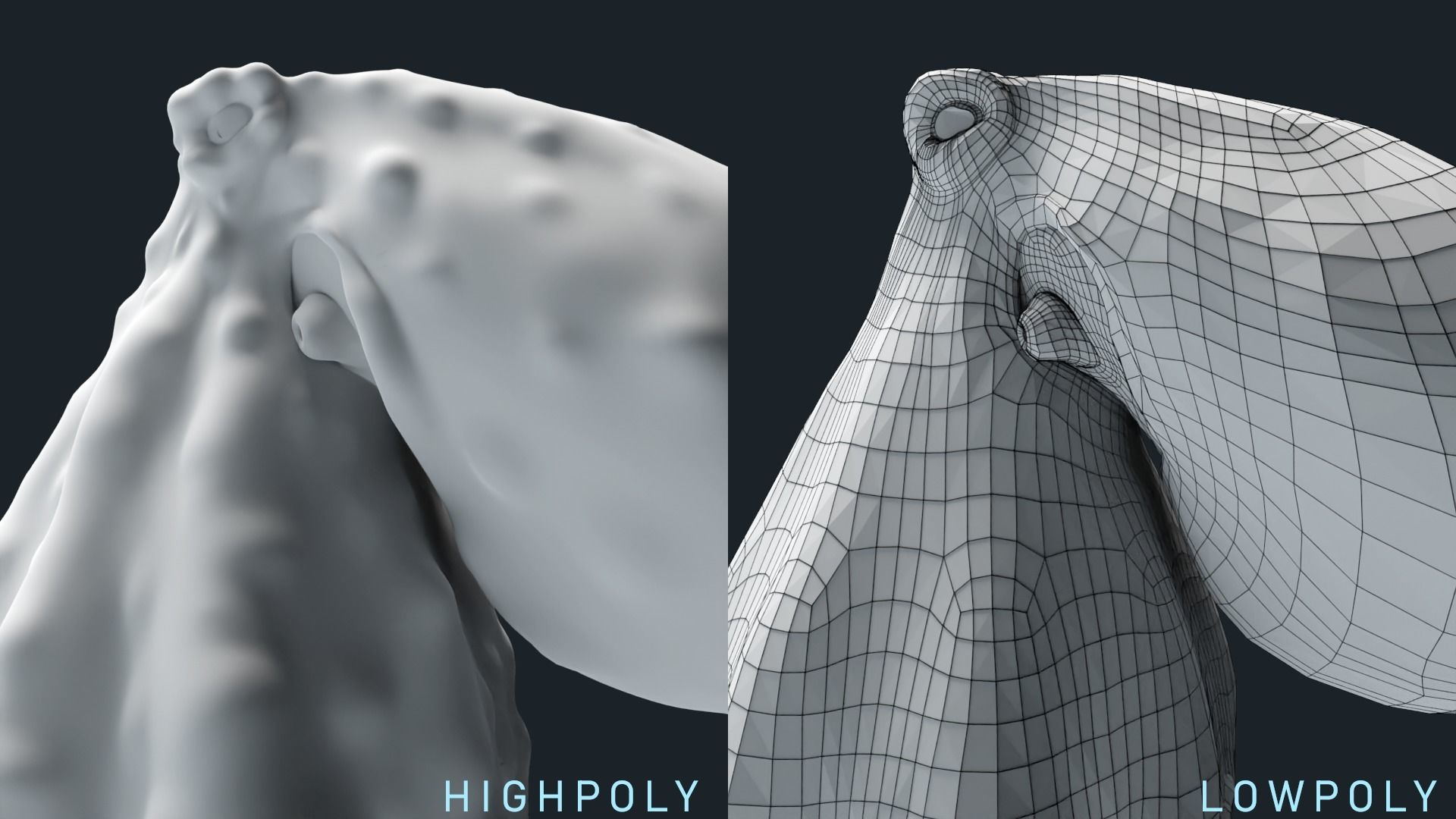 Octopus Base Mesh Low-poly 3D model_6