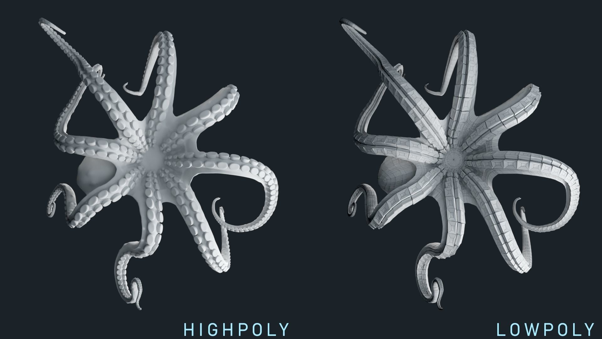 Octopus Base Mesh Low-poly 3D model_4
