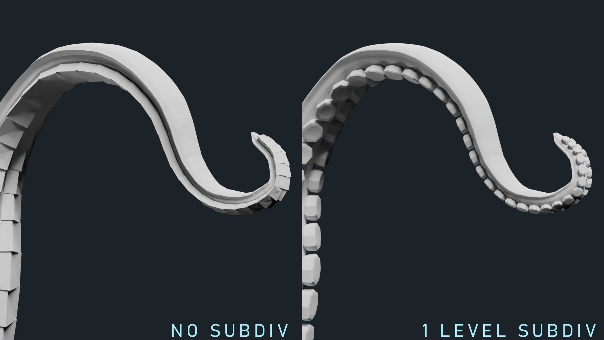 Octopus Base Mesh Low-poly 3D model_3