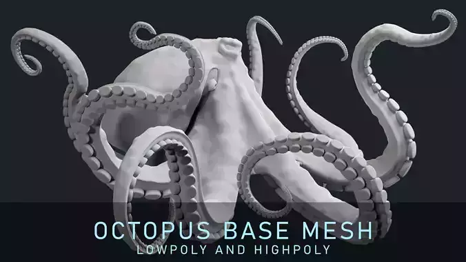 Octopus Base Mesh Low-poly 3D model
