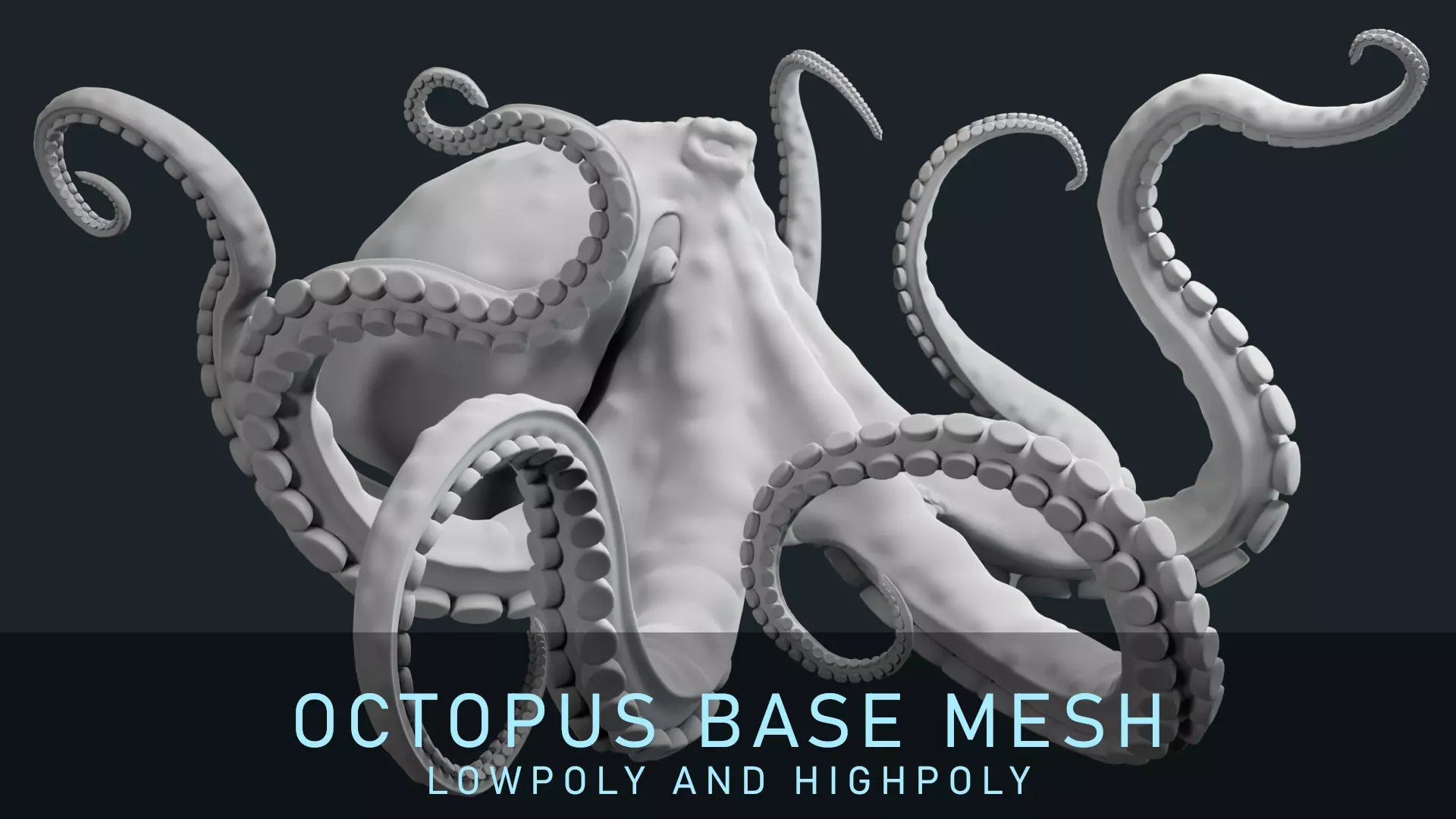 Octopus Base Mesh Low-poly 3D model_0