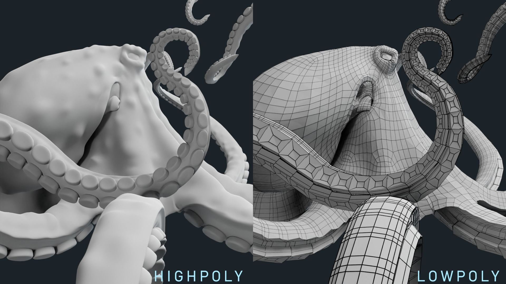 Octopus Base Mesh Low-poly 3D model_1