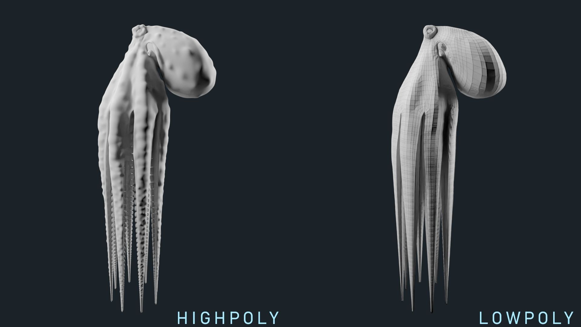 Octopus Base Mesh Low-poly 3D model_7