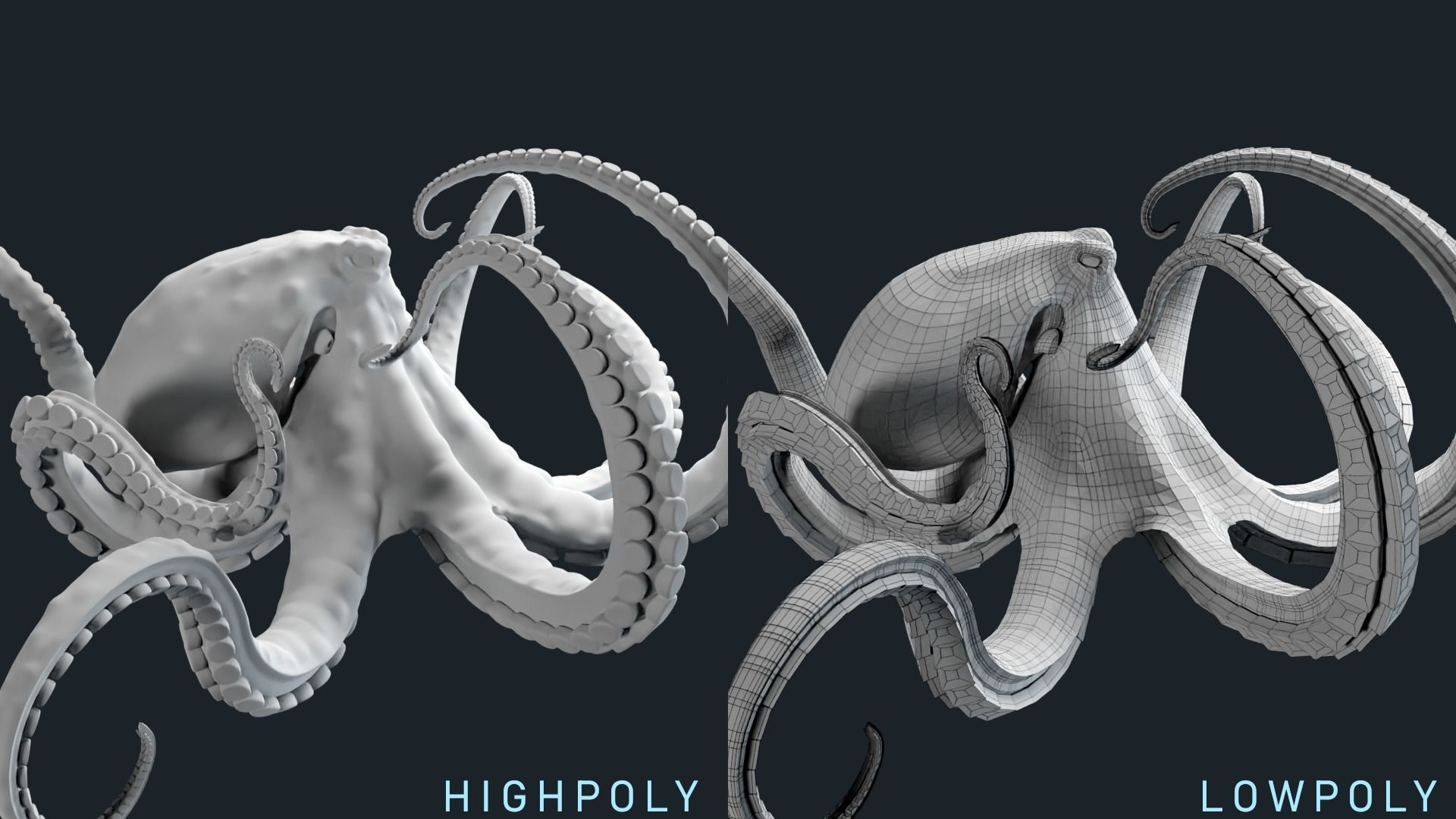 Octopus Base Mesh Low-poly 3D model_5