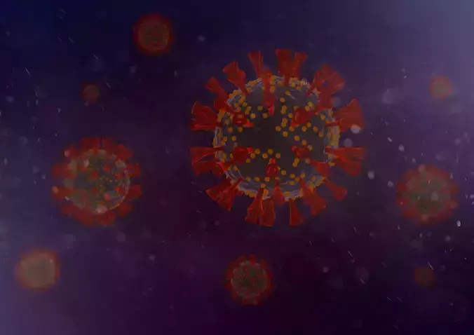 SARSC COV 2 VIRUS MODEL