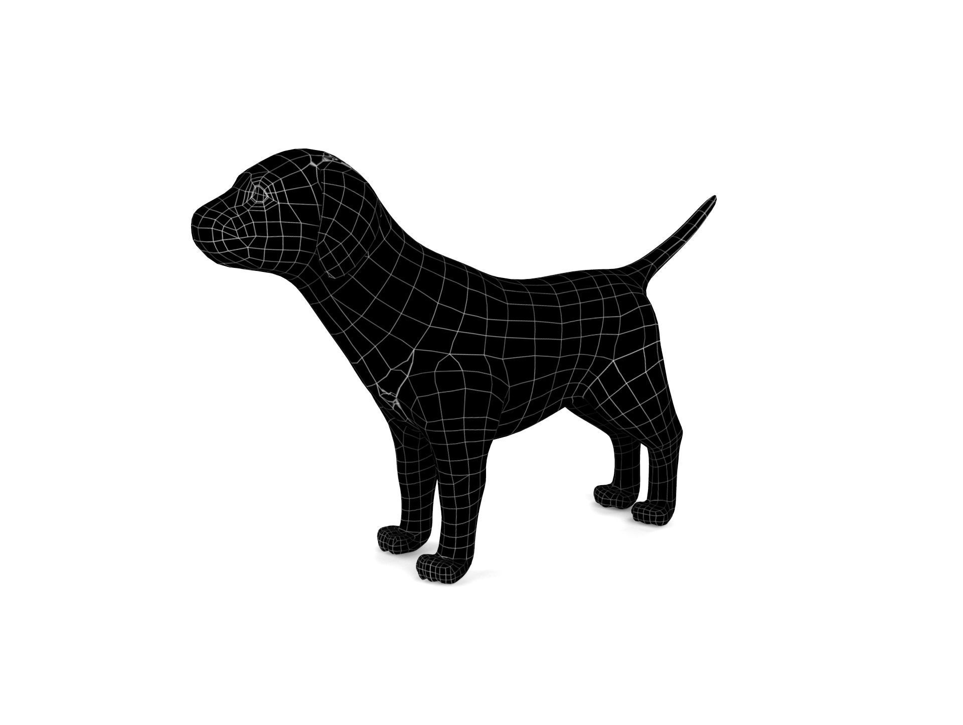 Cartoon Puppy Dog Rigged  Low-poly 3D model_25