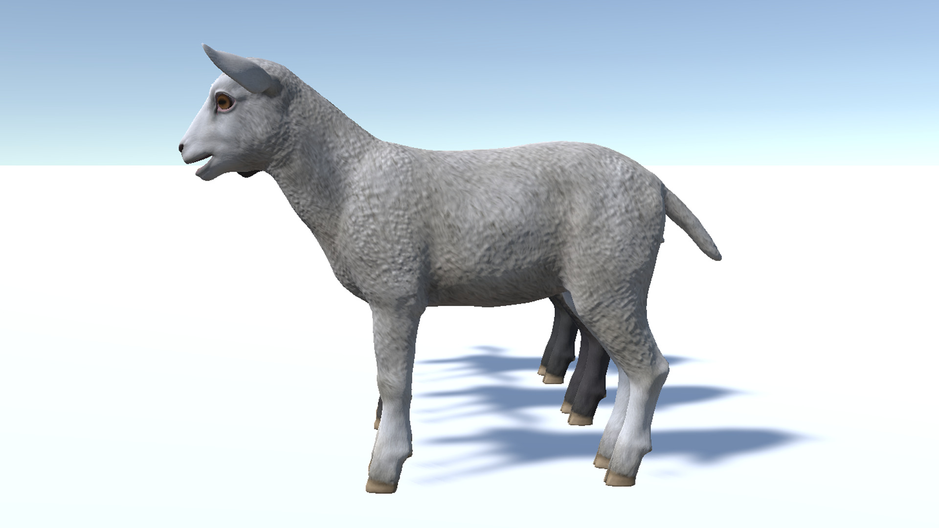 Lamb realistic Low-poly 3D model_11