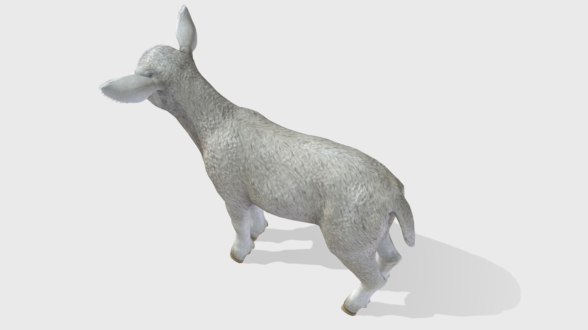 Lamb realistic Low-poly 3D model_5