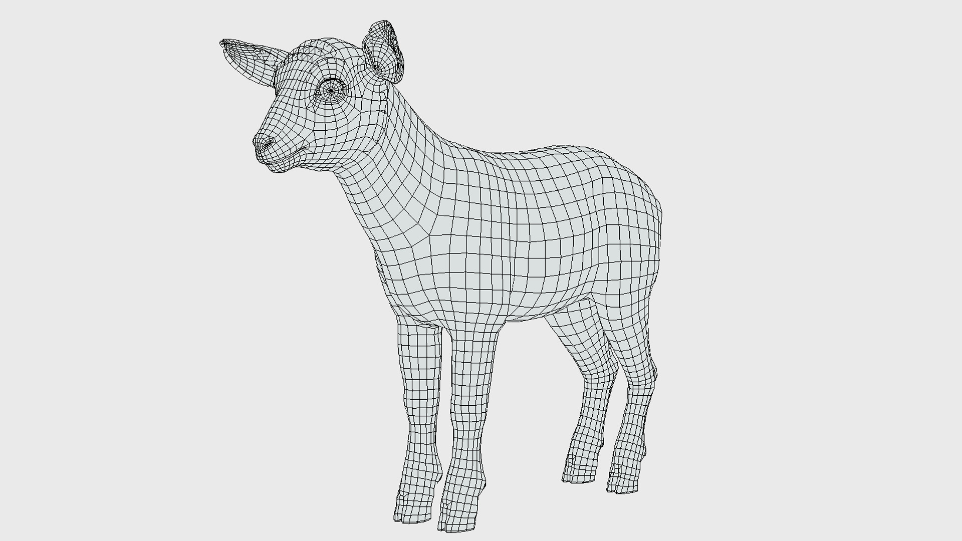 Lamb realistic Low-poly 3D model_15