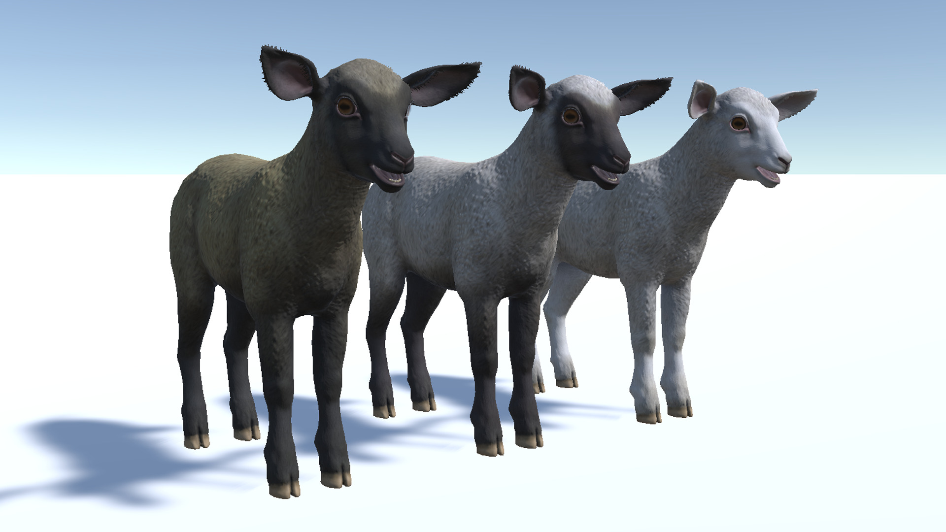 Lamb realistic Low-poly 3D model_9