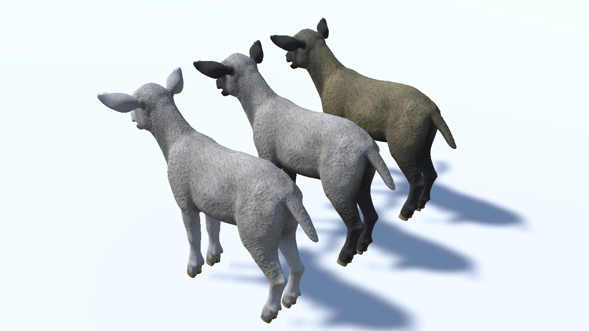 Lamb realistic Low-poly 3D model_12