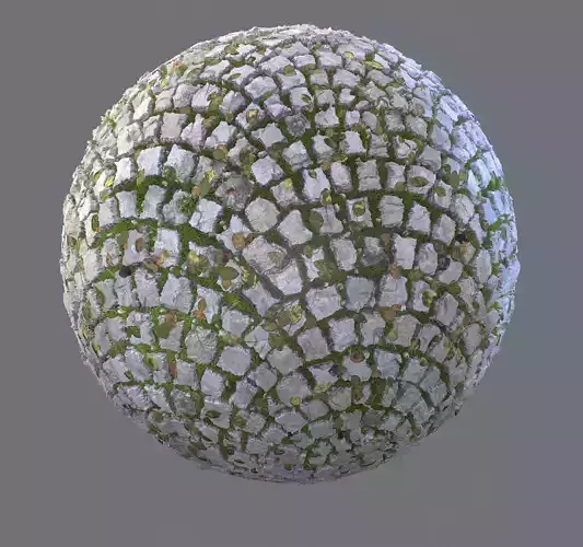 Pavement with leafs moss and twigs 