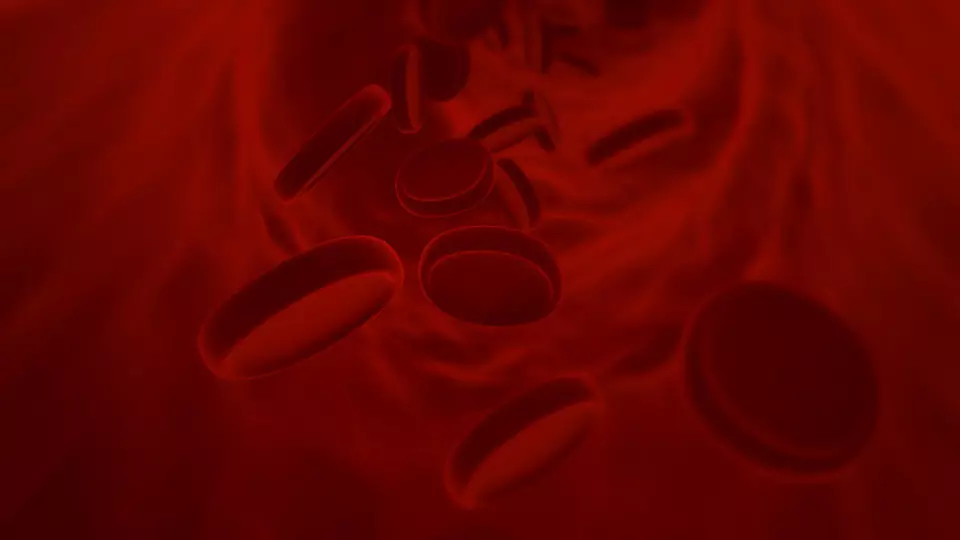 BLOOD CELS Free 3D model