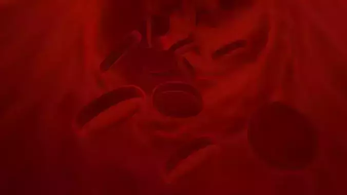 BLOOD CELS Free 3D model