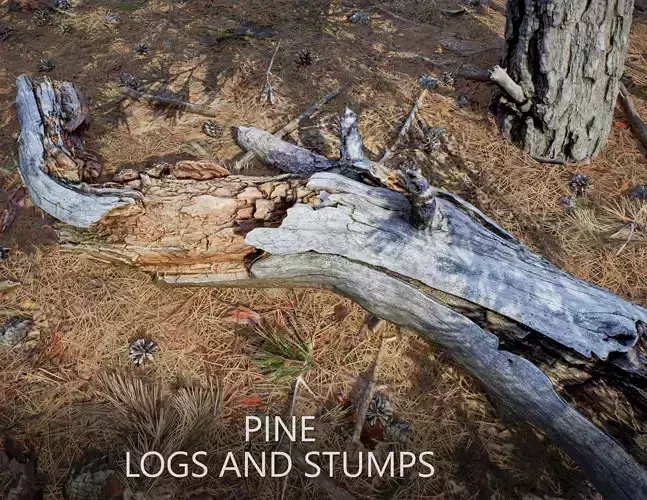 Conifer Pine Logs and Stumps Set Low-poly 3D model