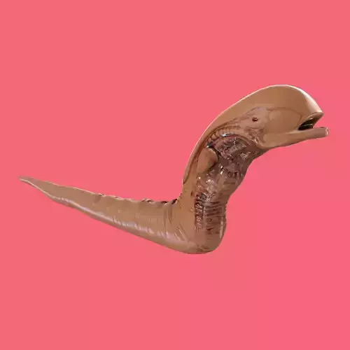 Alien Chestburster 3D model
