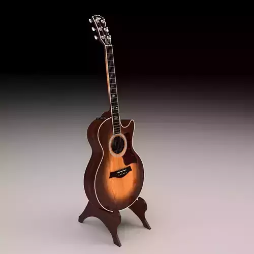 Acoustic Guitar