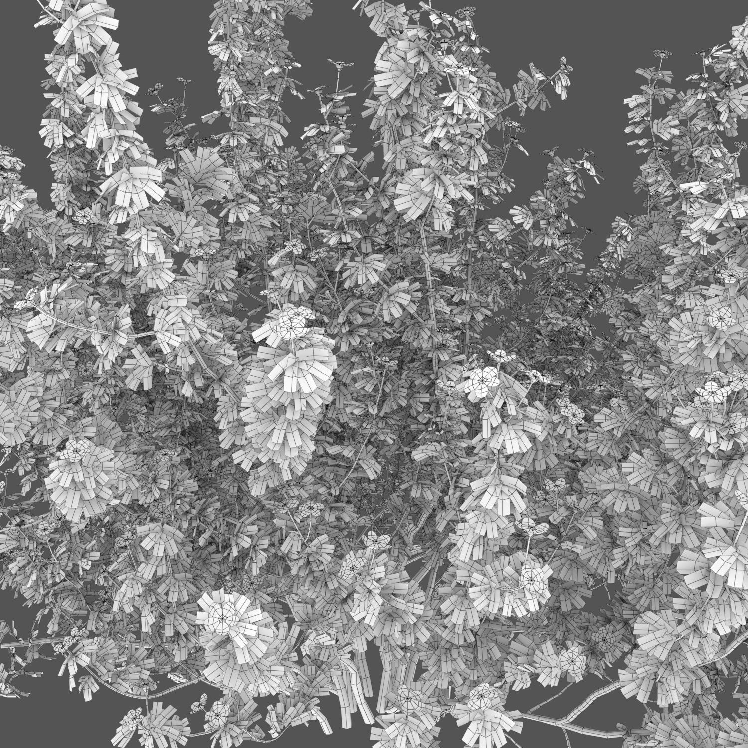 Potentilla bush 01 3D model_5