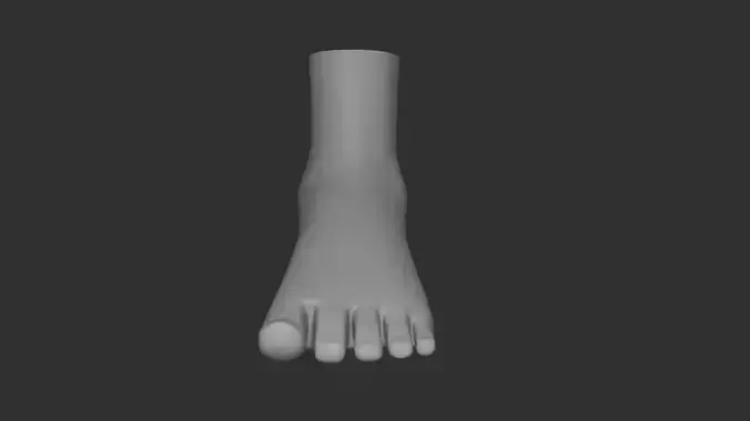 Female Foot