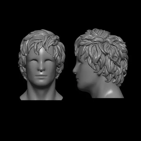 curly hair 3D print model
