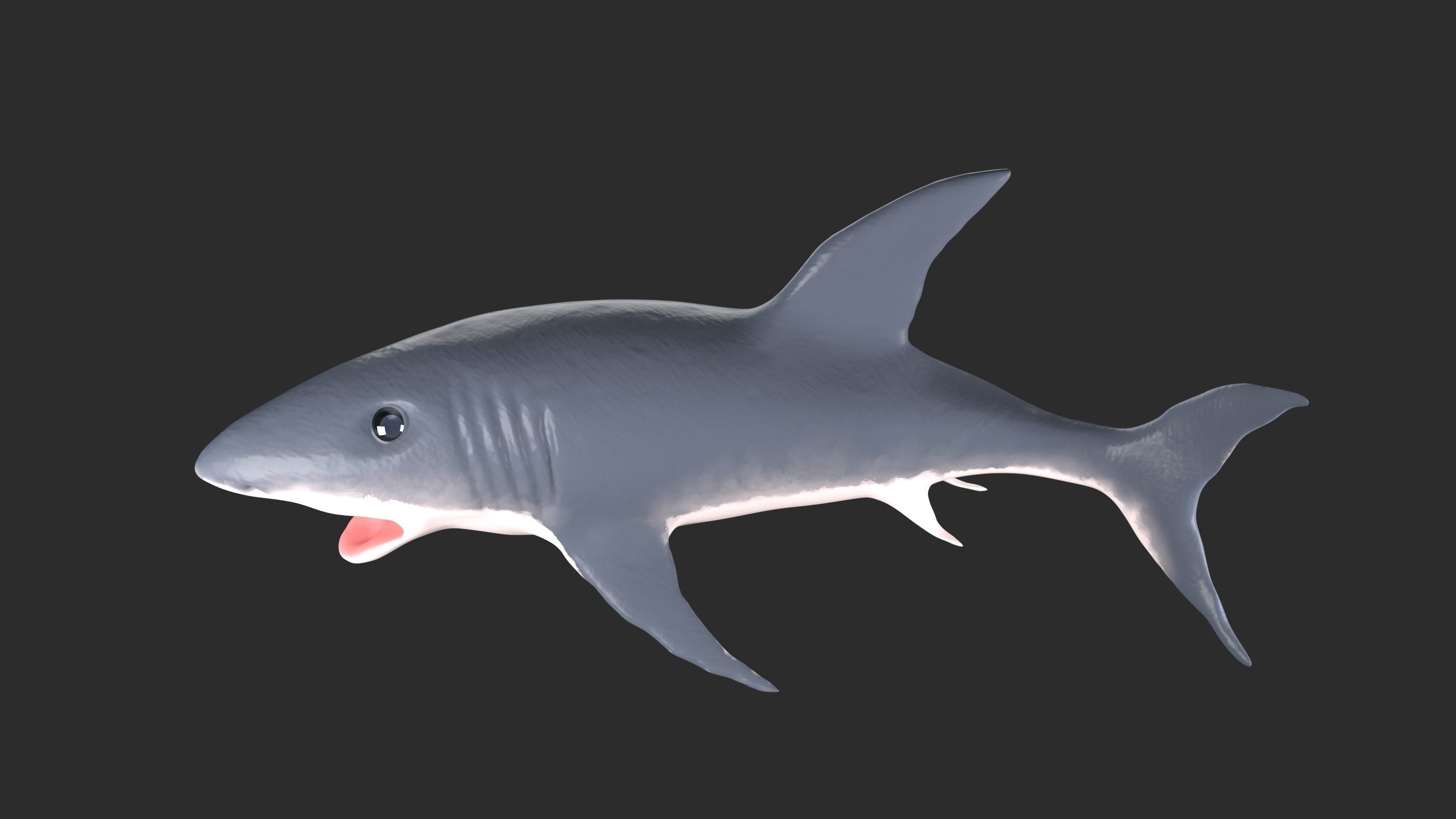 Shark Low-poly 3D model_7