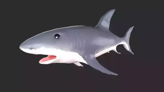 Shark