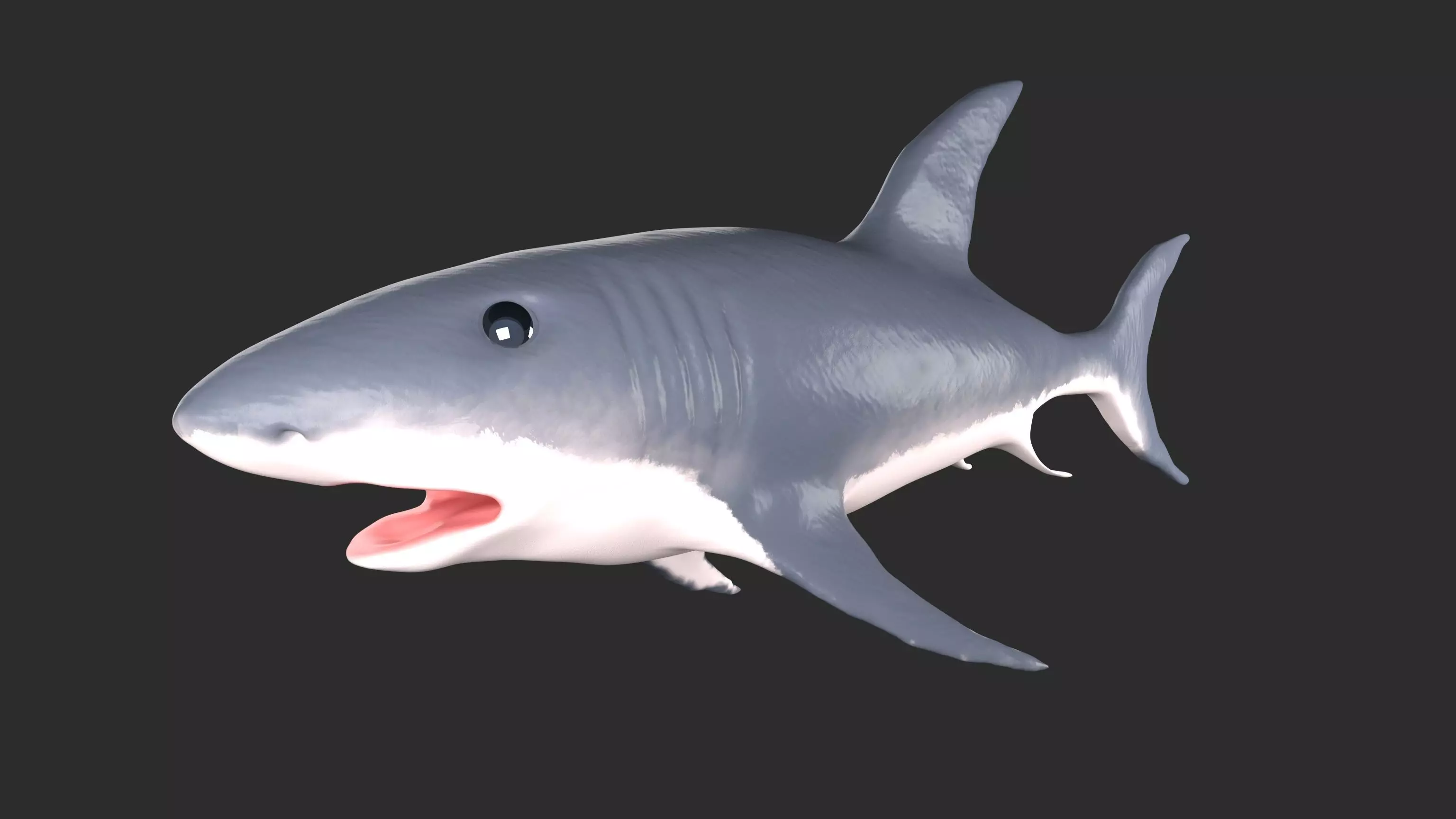 Shark Low-poly 3D model_0
