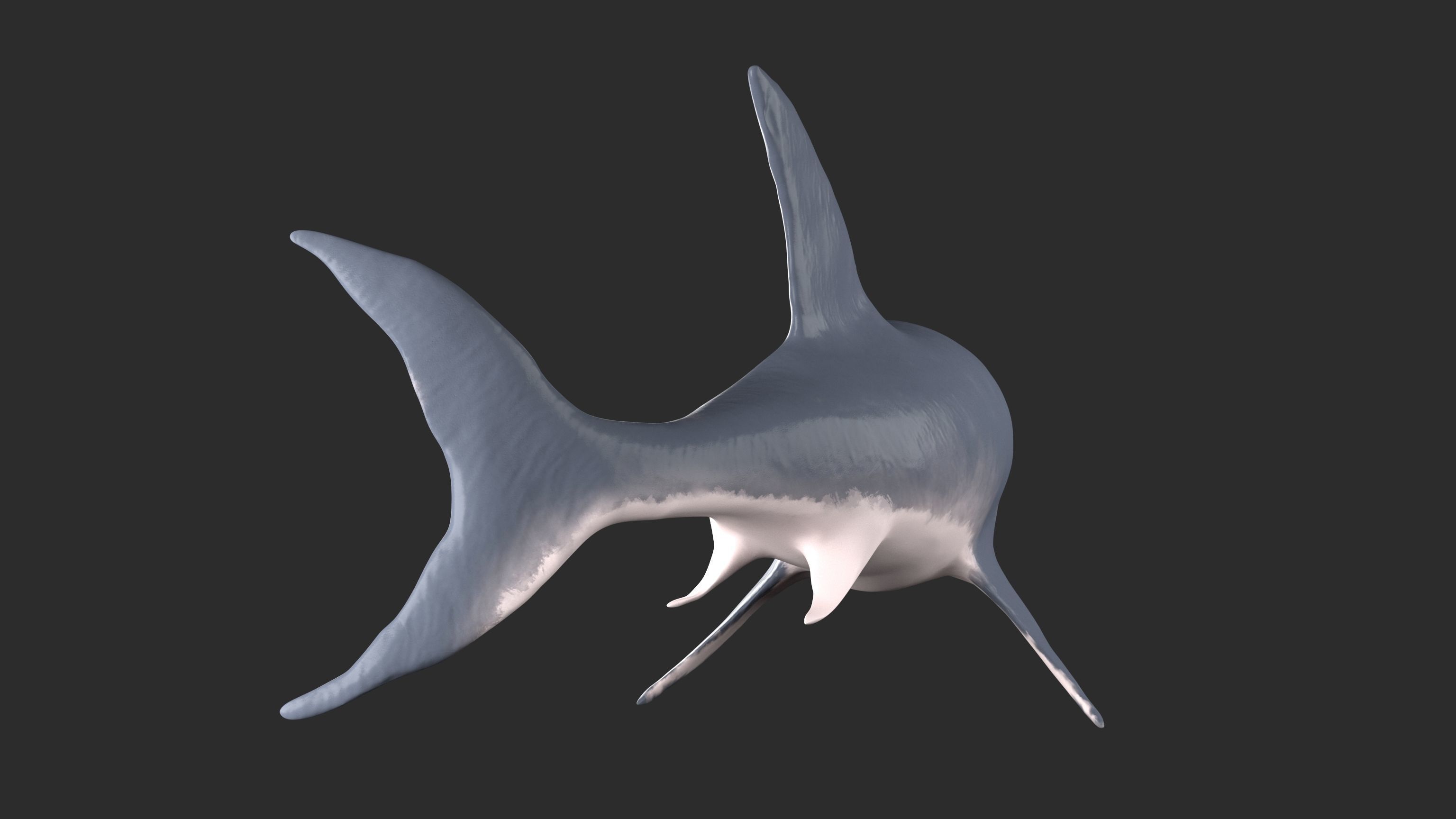 Shark Low-poly 3D model_6