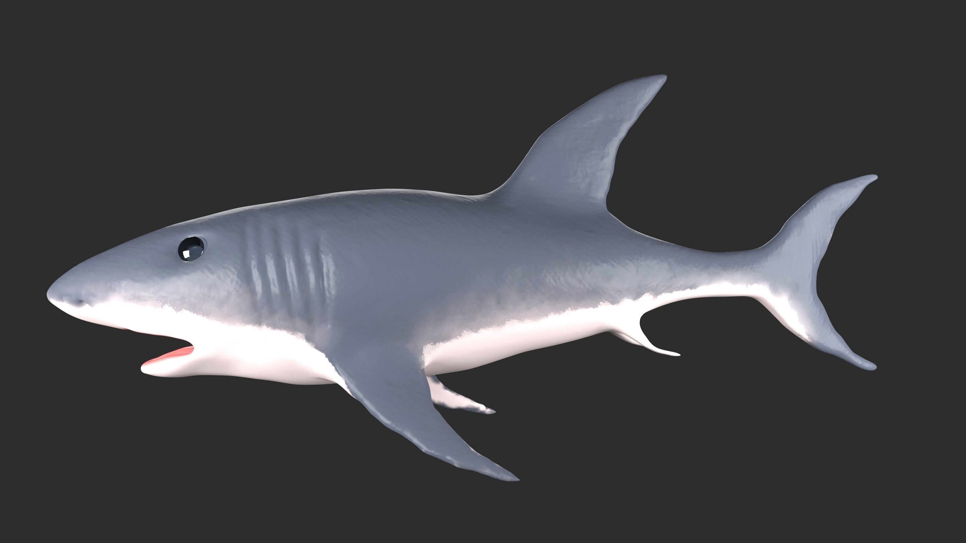 Shark Low-poly 3D model_1