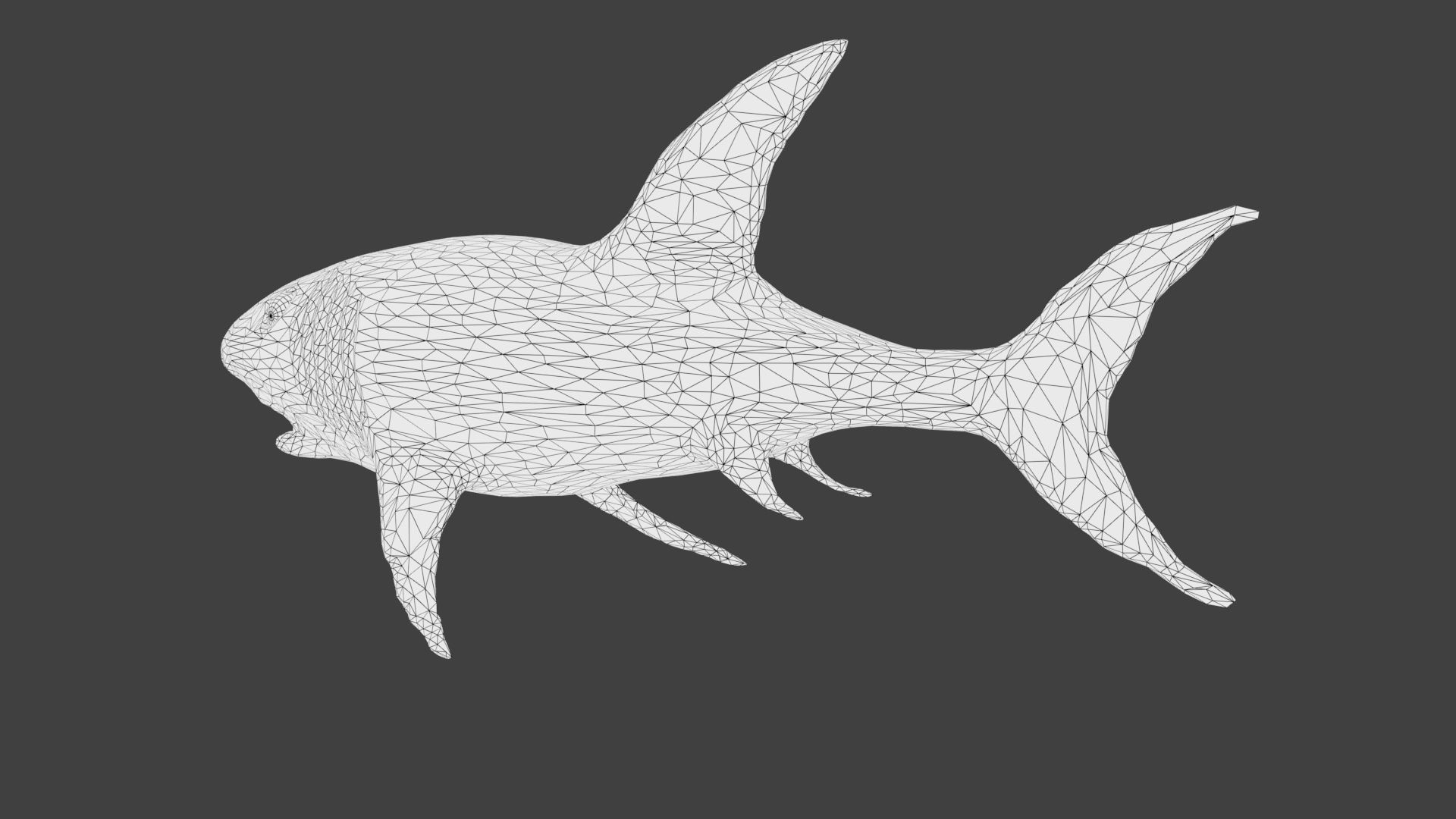 Shark Low-poly 3D model_11