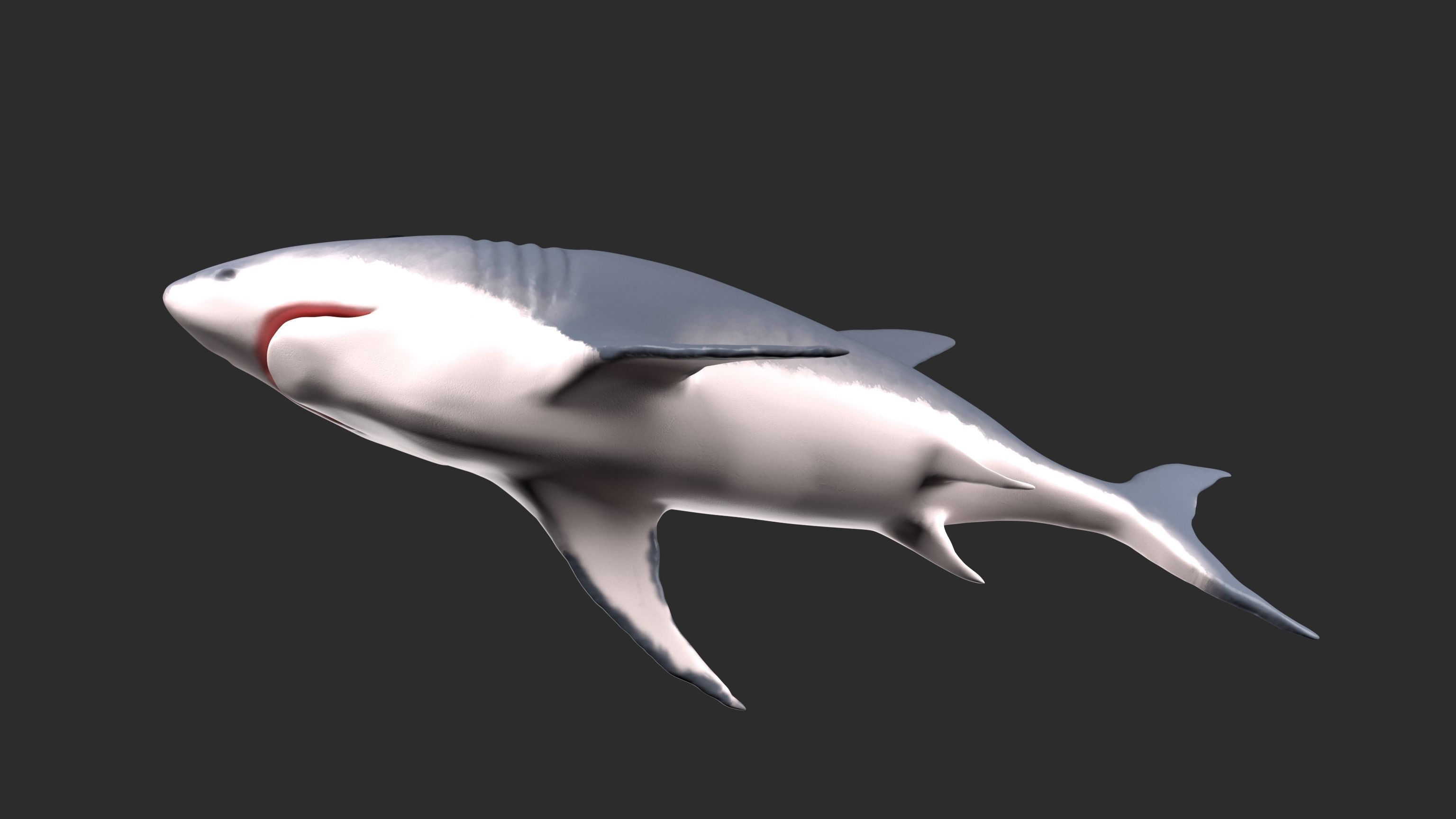 Shark Low-poly 3D model_4
