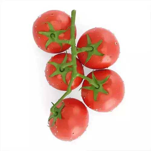 Branch with Red Tomatoes 3D model