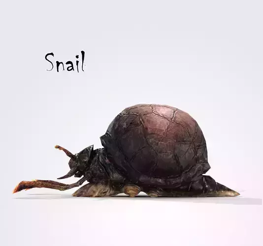 Snail Low-poly 3D model