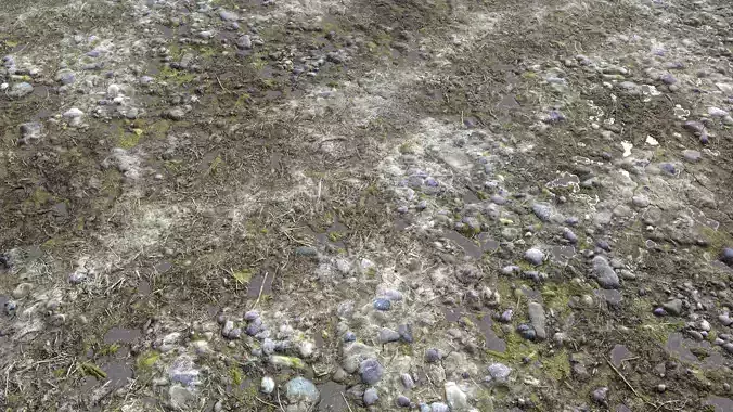 Dirt Terrain PBR Pack 11 Texture