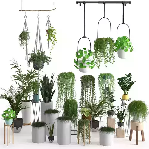 Plants collection vol 7 