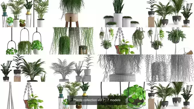 Plants collection vol 7