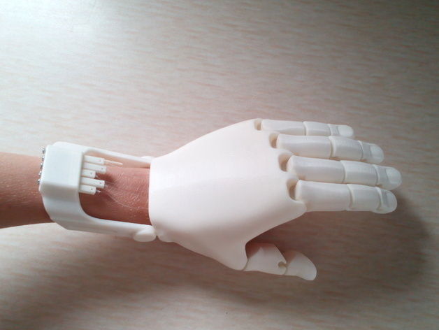 iHand PRO 3D print model