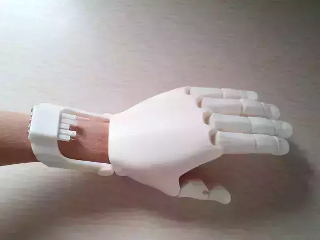 iHand PRO 3D print model