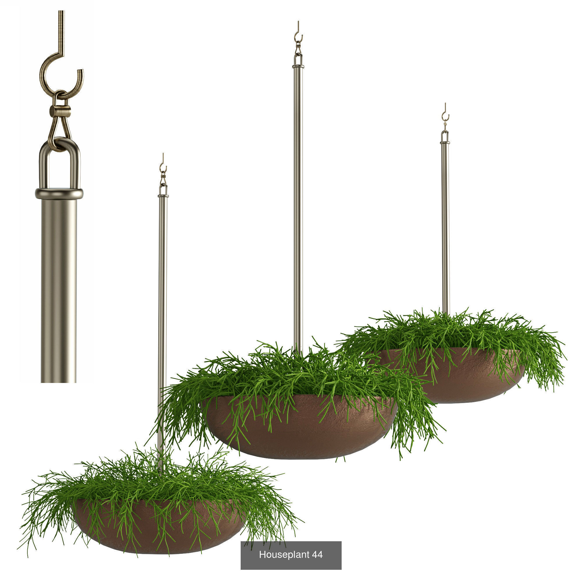 Plants collection 08 _7